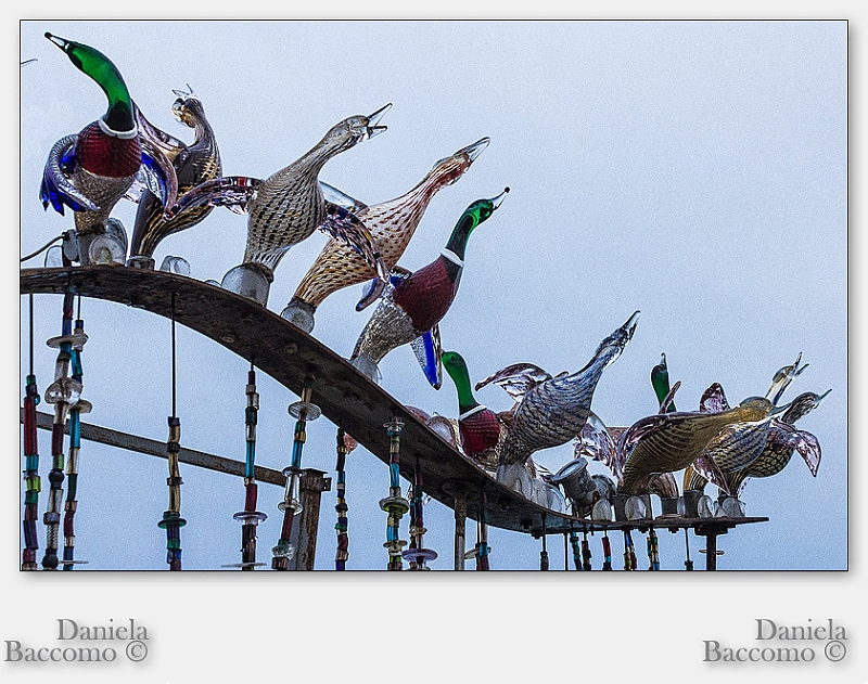 114_22_Murano, Venezia.jpg
